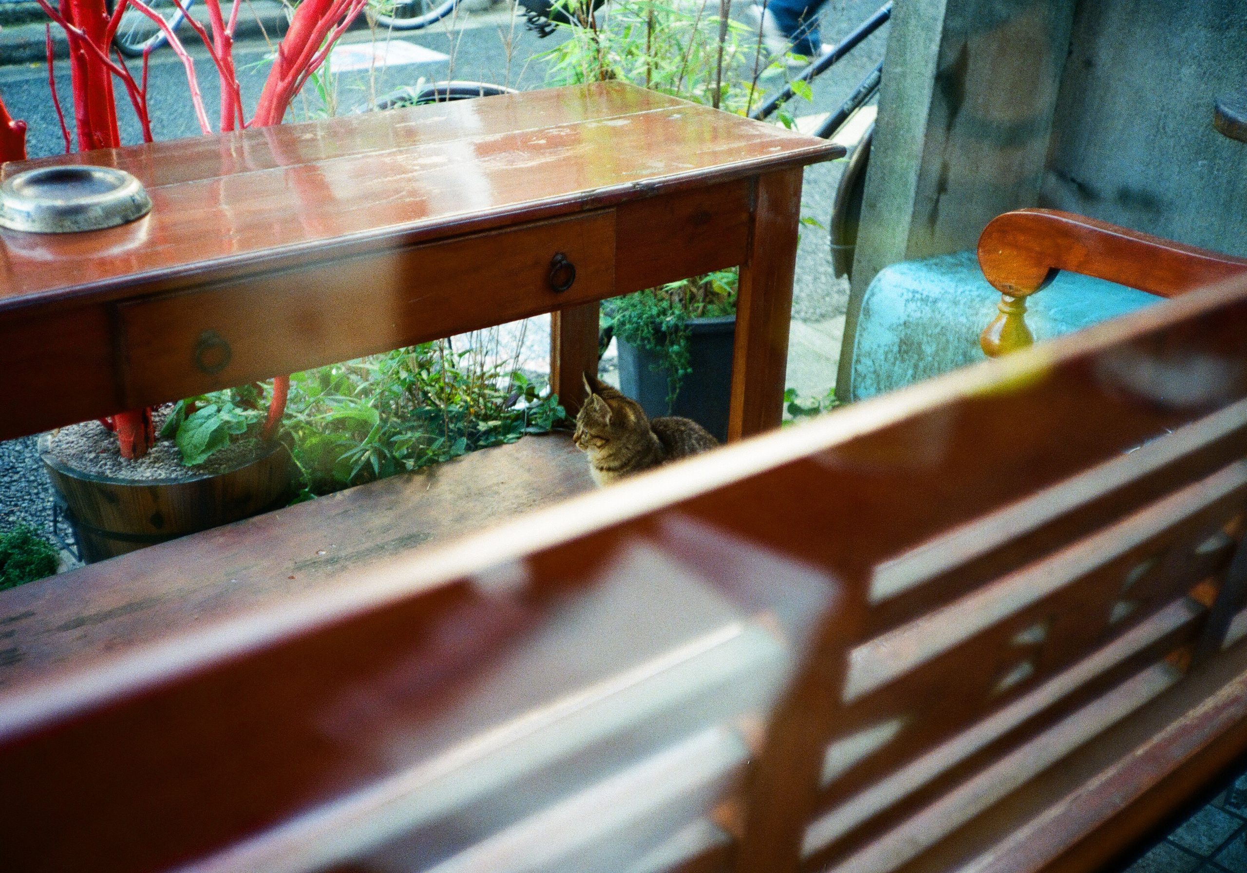 フィルムスキャンサンプル